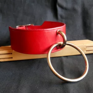 Collier rouge à anneau