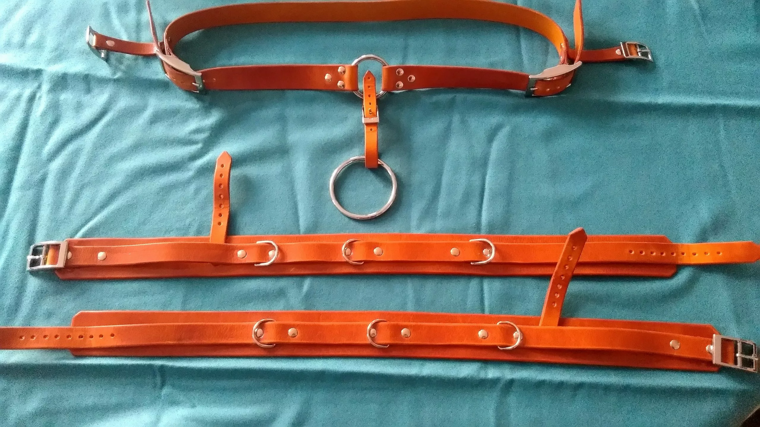 Harnais cockring Bdsm – Image 3