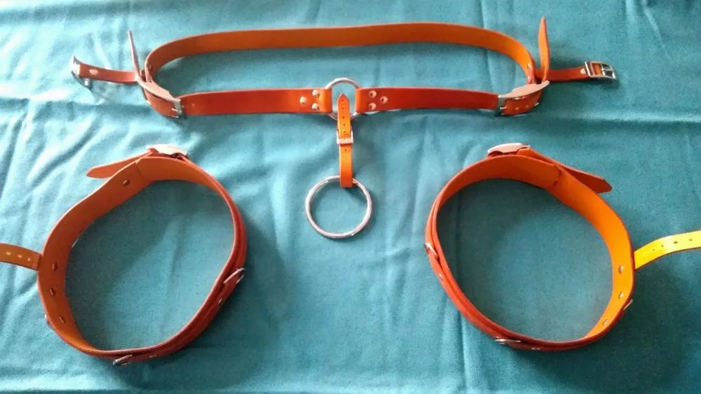 Harnais cockring Bdsm