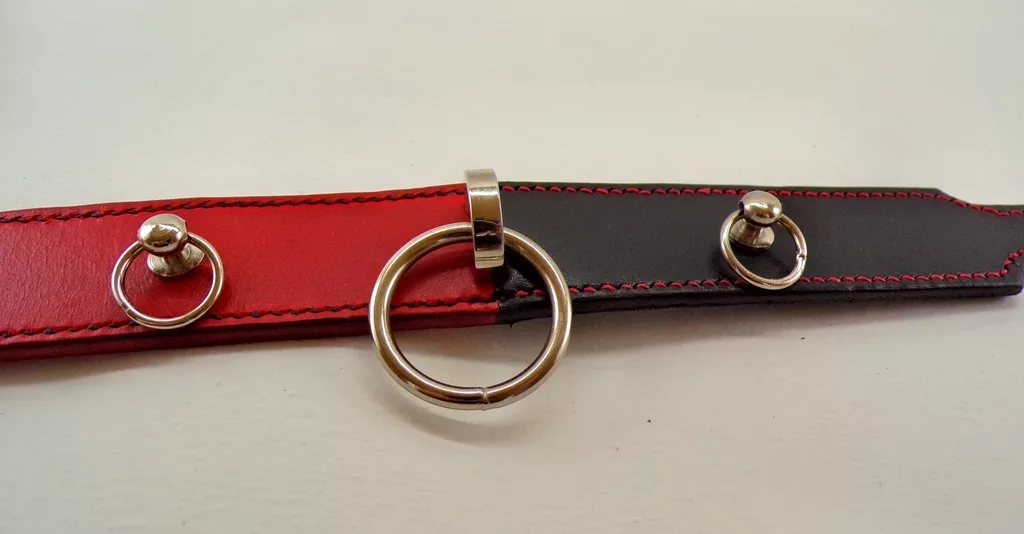 Collier Bdsm (gamme "Yseult") – Image 5