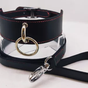 Ensemble collier Bdsm + laisse