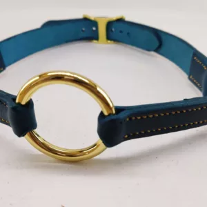 Baillon anneau / Ring gag