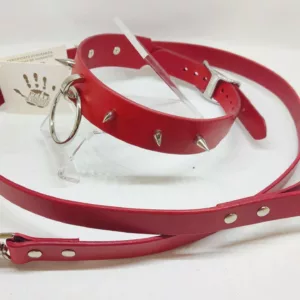 Collier Bdsm à piques / Bdsm spiked collar