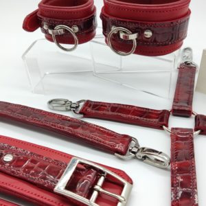 Ensemble de liens cuir verni/Bdsm patent leather set – Image 2