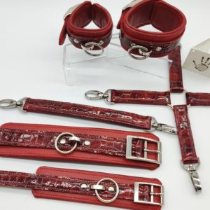 Ensemble de liens cuir verni/Bdsm patent leather set – Image 3