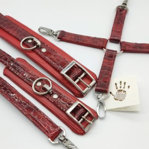 Ensemble de liens cuir verni/Bdsm patent leather set – Image 4