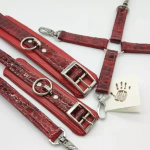 Ensemble de liens cuir verni/Bdsm patent leather set