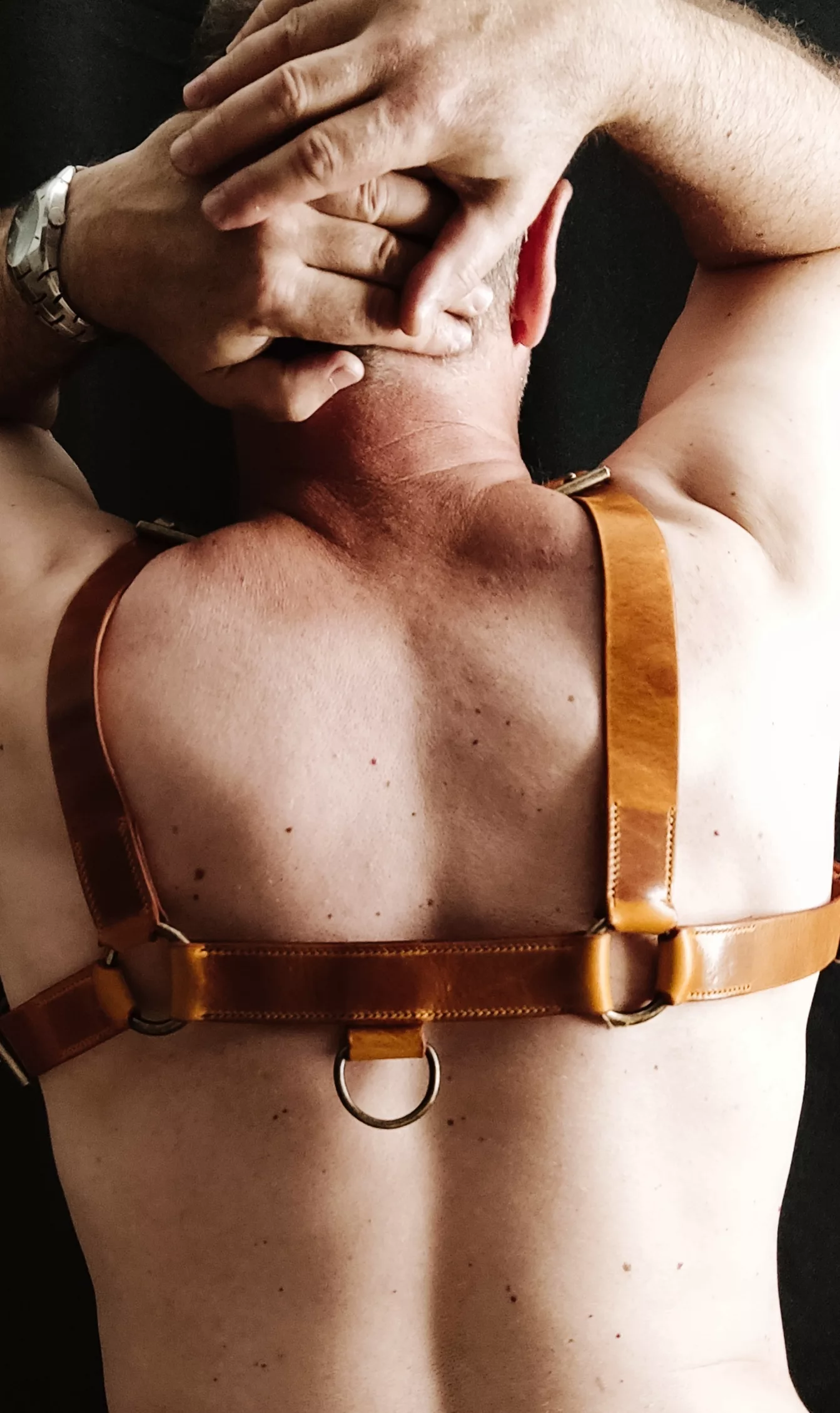 Harnais bulldog en cuir / Leather Bulldog harness – Image 4