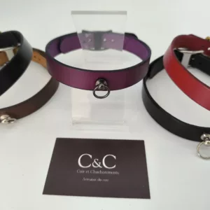 Collier de jour / Choker Bdsm