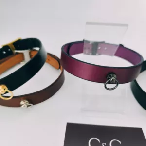 Exemplaires à saisir!