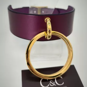 Collier Bdsm / Bdsm leather collar