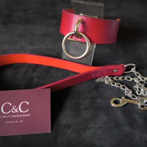 Collier rouge + laisse
